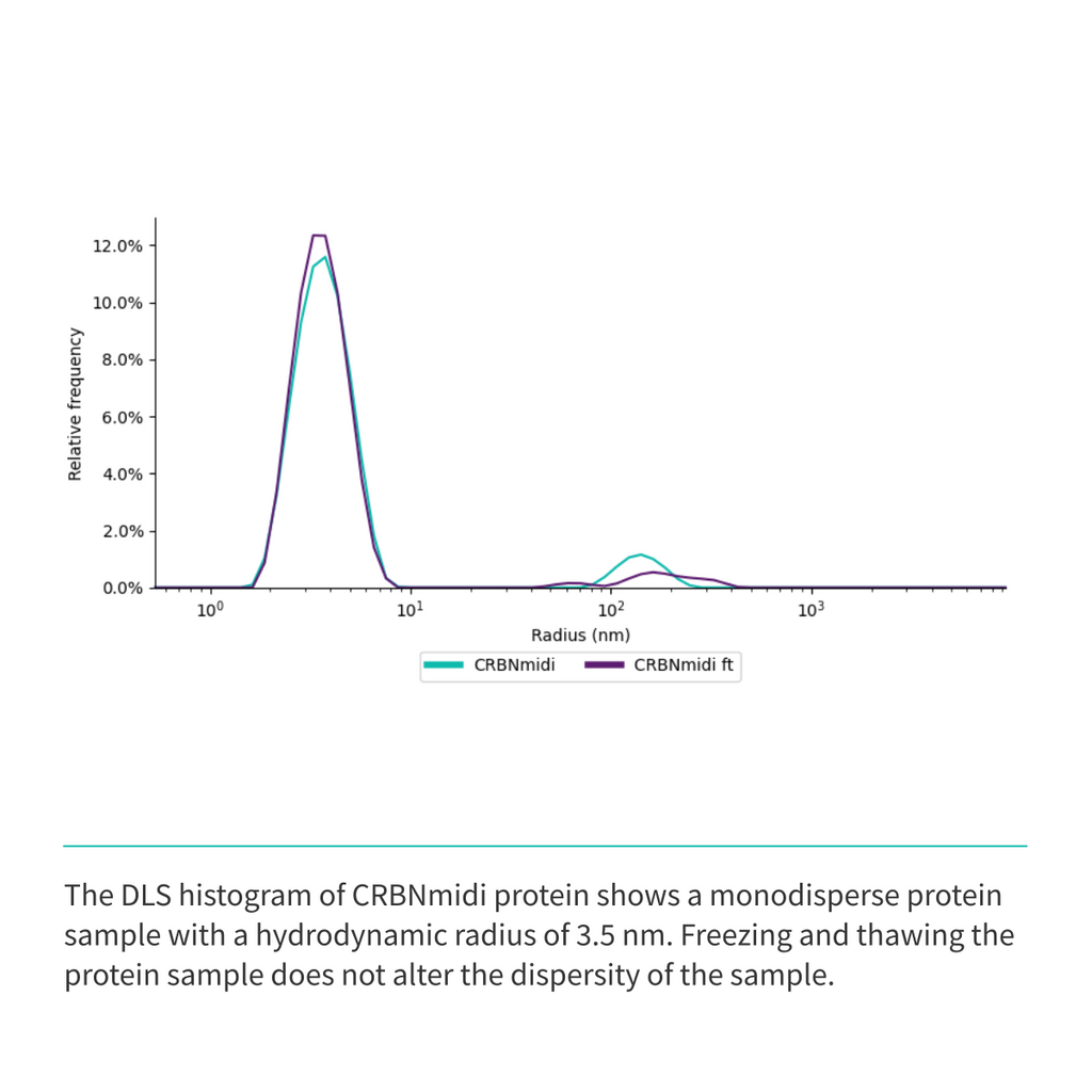 Recombinant <b>CRBNmidi</b> (S_A41-E187_GSG_D249-I426), Cereblon, E3 Ligase