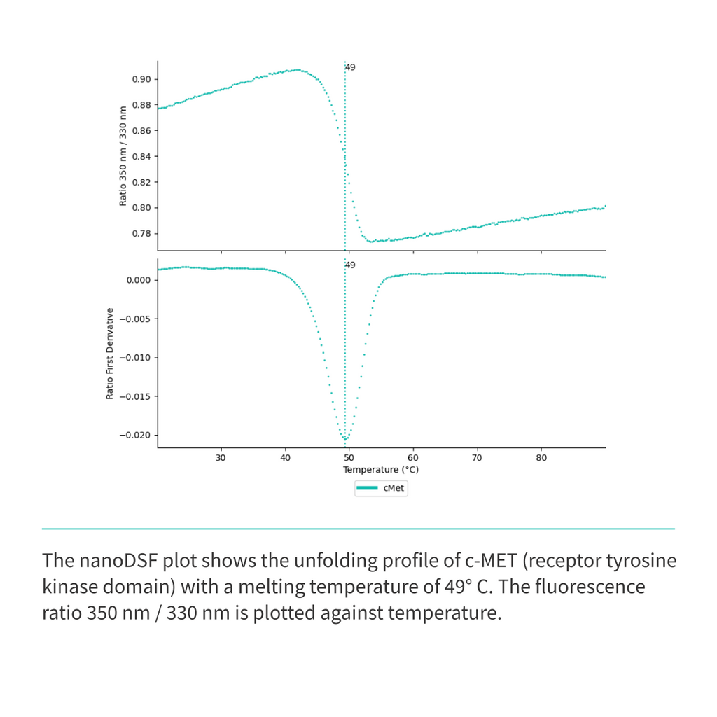 Recombinant <b>c-MET</b> (N1049-G1346), receptor tyrosine kinase domain, cellular-mesenchymal epithelial transition factor