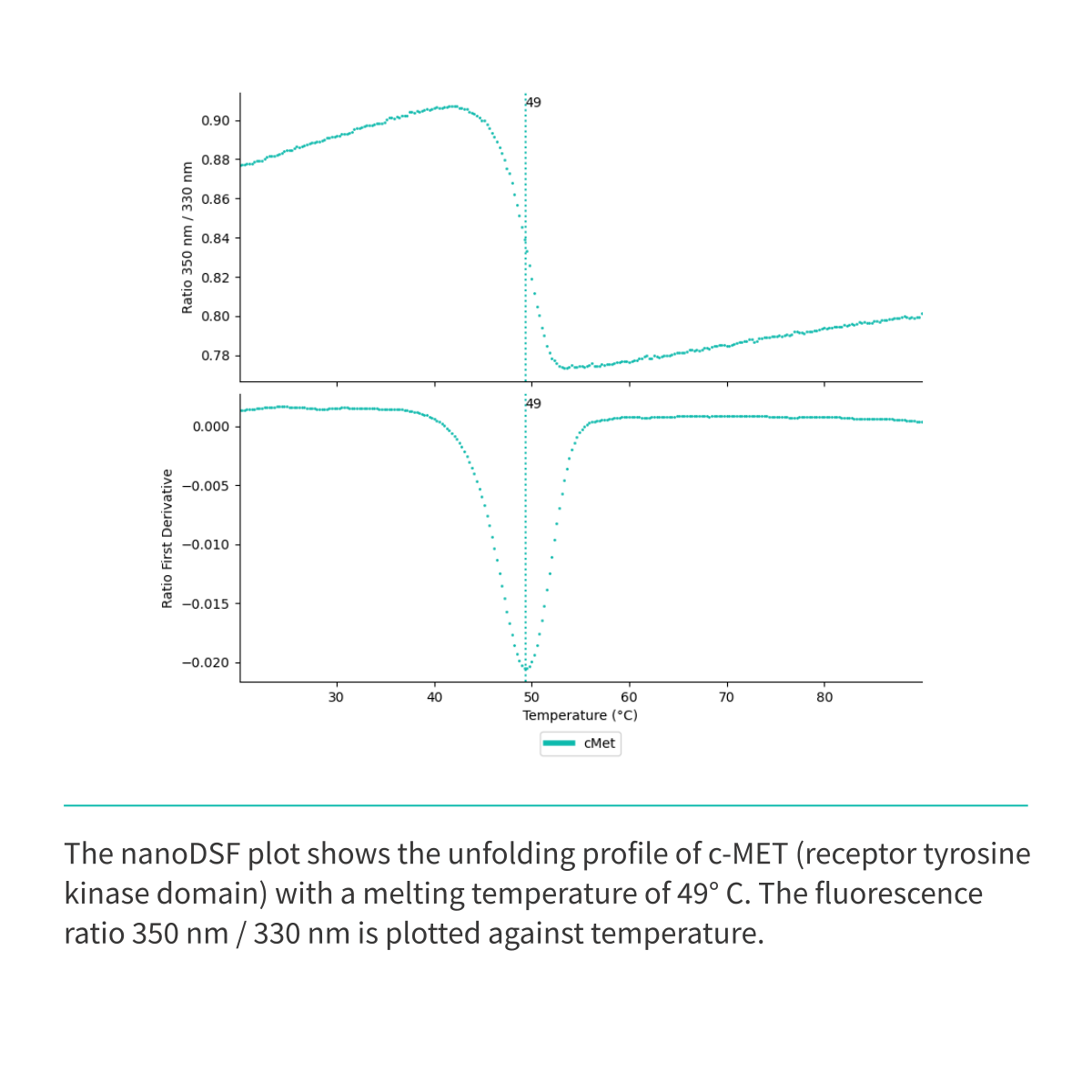Recombinant <b>c-MET</b> (N1049-G1346), receptor tyrosine kinase domain, cellular-mesenchymal epithelial transition factor