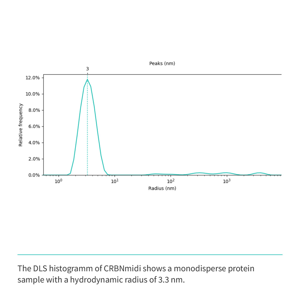 Recombinant <b>CRBNmidi</b> (S41-E187_GSG_D249-I426), Cereblon, E3 Ligase