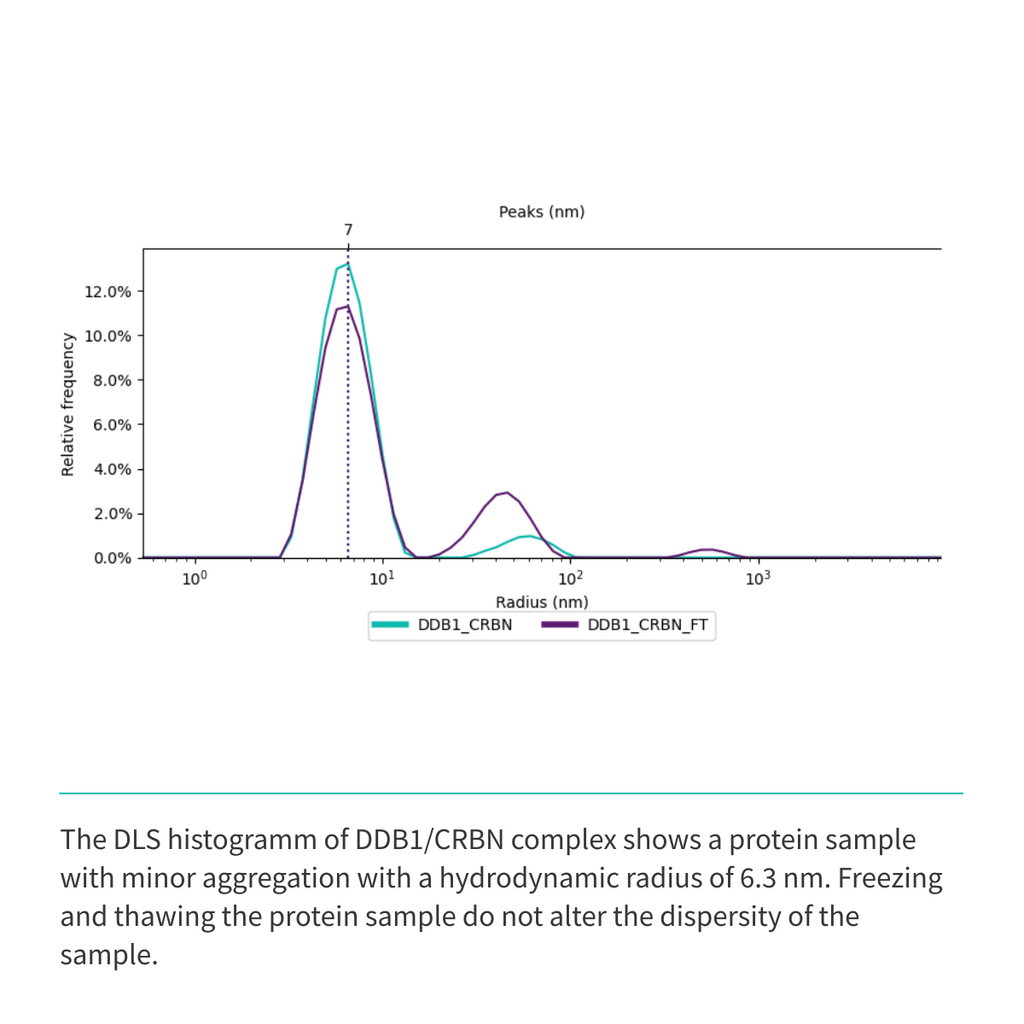 Recombinant <b>His-tagged DDB1(M1-H1140)/CRBN(M1-L442) Complex</b> Cereblon, E3 Ligase