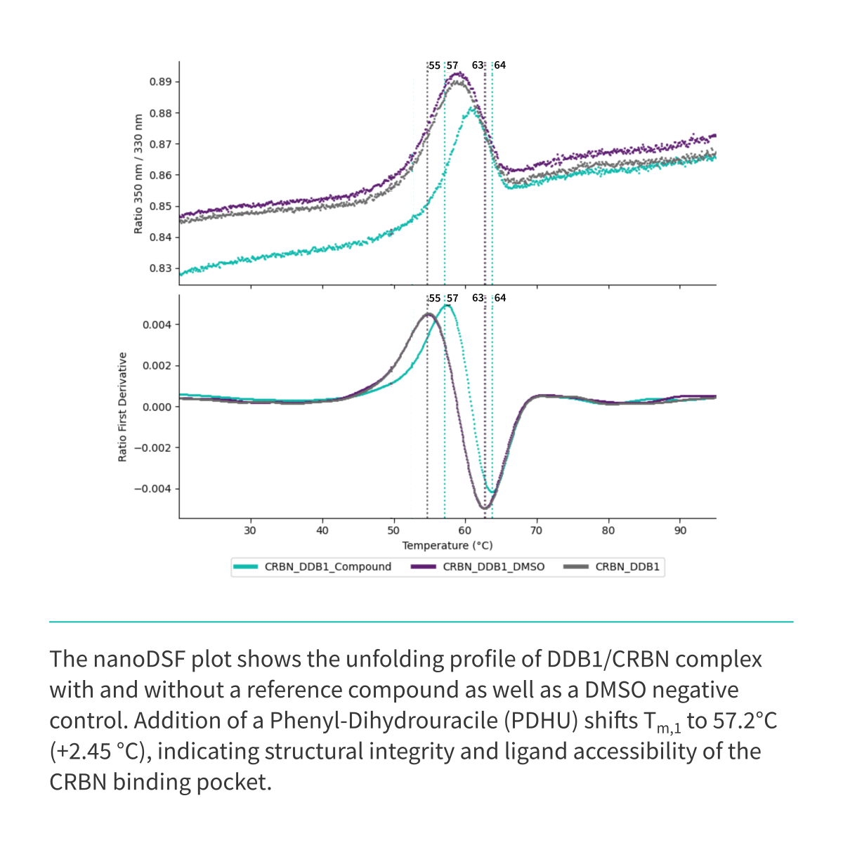 Recombinant <b>His-tagged DDB1(M1-H1140)/CRBN(M1-L442) Complex</b> Cereblon, E3 Ligase