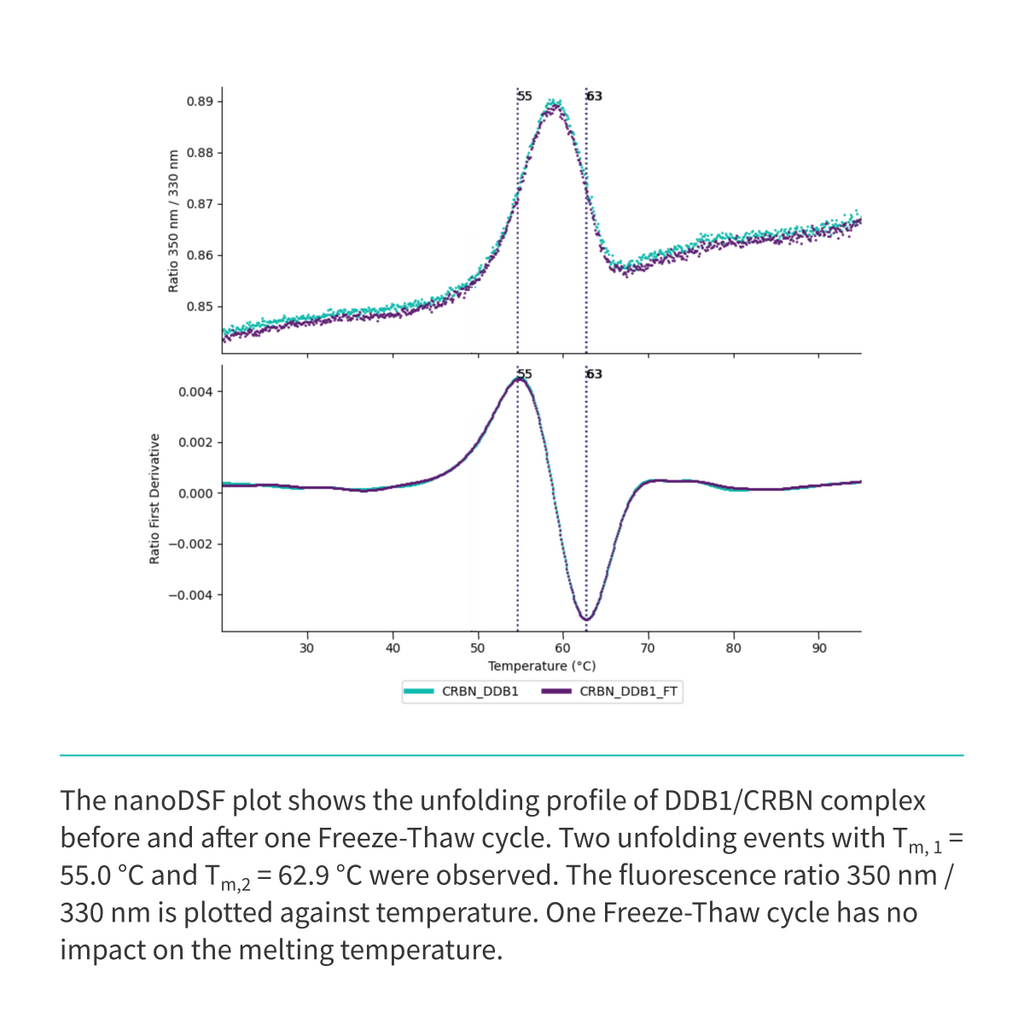 Recombinant <b>His-tagged DDB1(M1-H1140)/CRBN(M1-L442) Complex</b> Cereblon, E3 Ligase