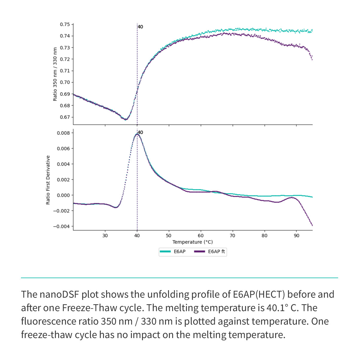 Recombinant <b>E6AP</b>(Q495-L852), HECT domain, E3 Ligase, E6-associated protein, UBE3A