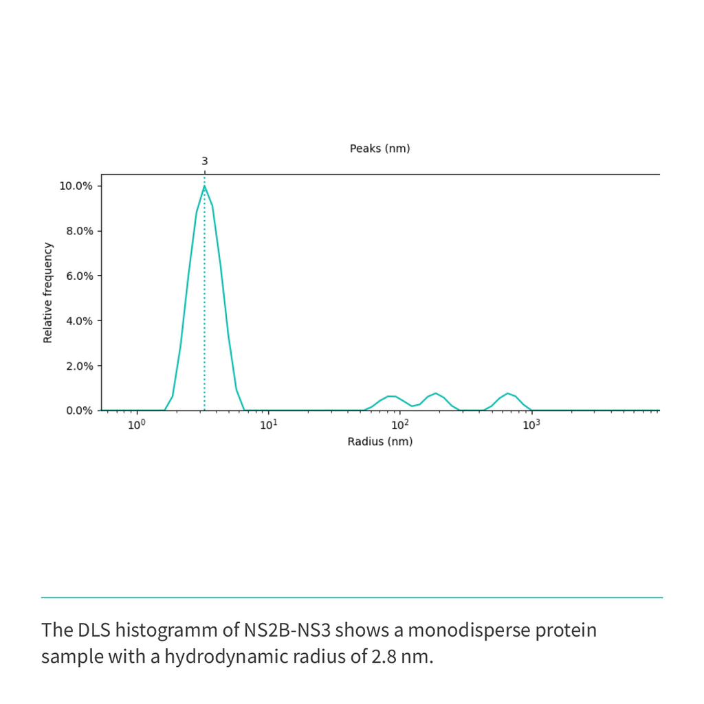 Recombinant <b>NS2B-NS3</b> (A1394-L1440)GGGGSGGGG(A1476-K1660), NS3 Protease domain S7 & NS2B Cofactor