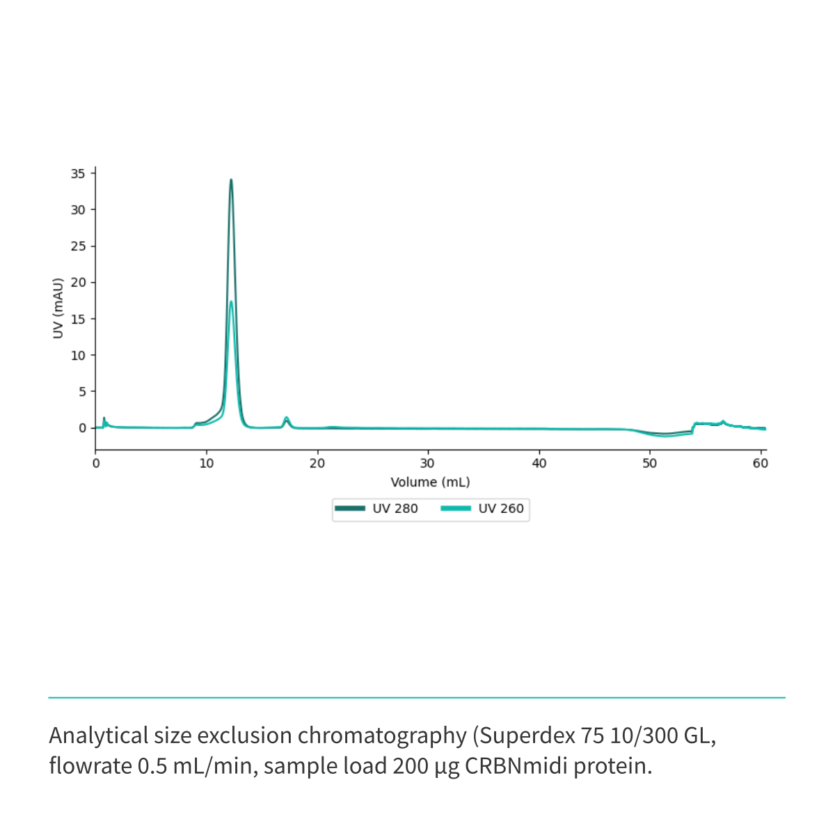 Recombinant <b>CRBNmidi</b> (S_A41-E187_GSG_D249-I426), Cereblon, E3 Ligase