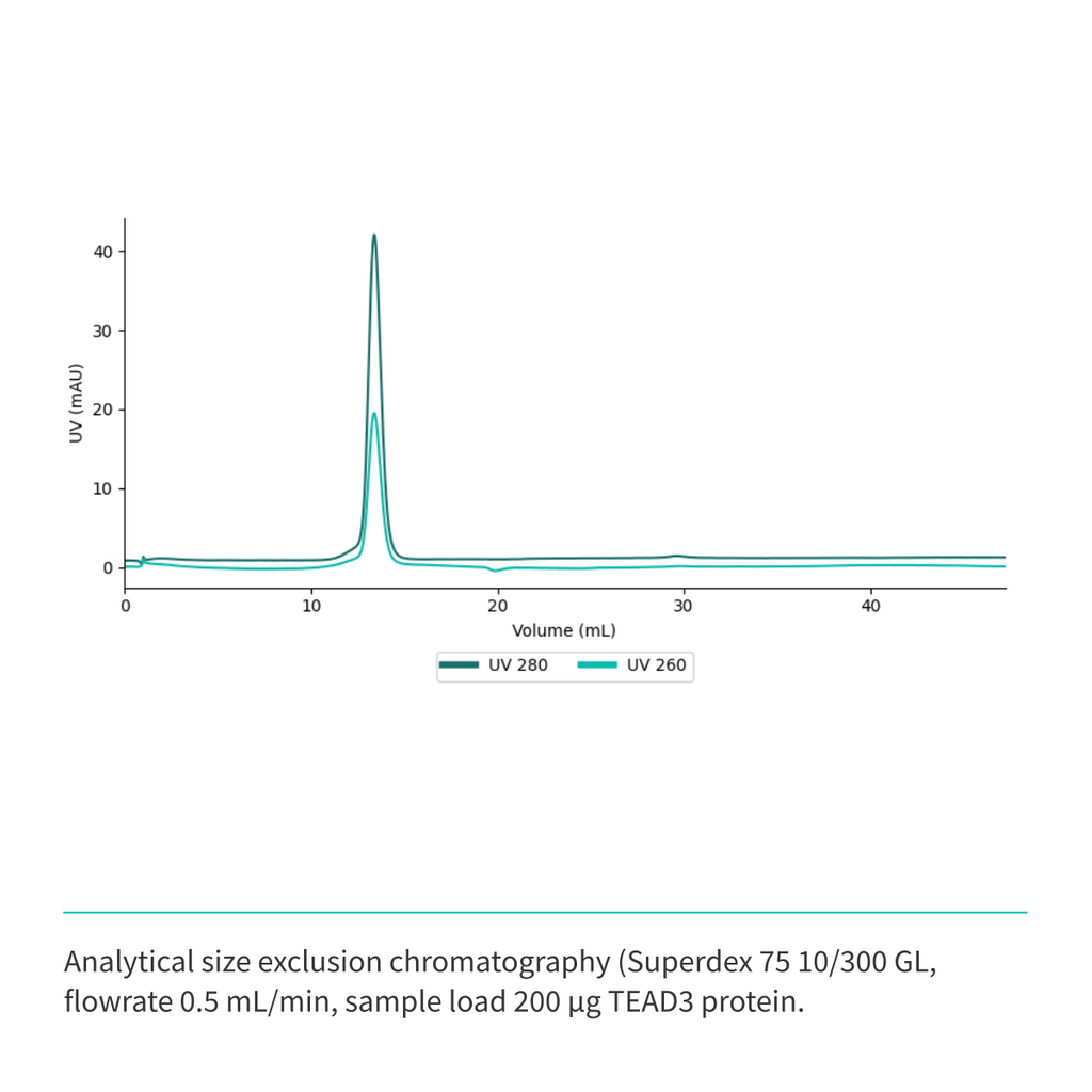 Recombinant <b>TEAD3</b> (R218-D435) YAP-binding domain, TEA domain transcription factor 3, Transcriptional enhancer factor TEF-5