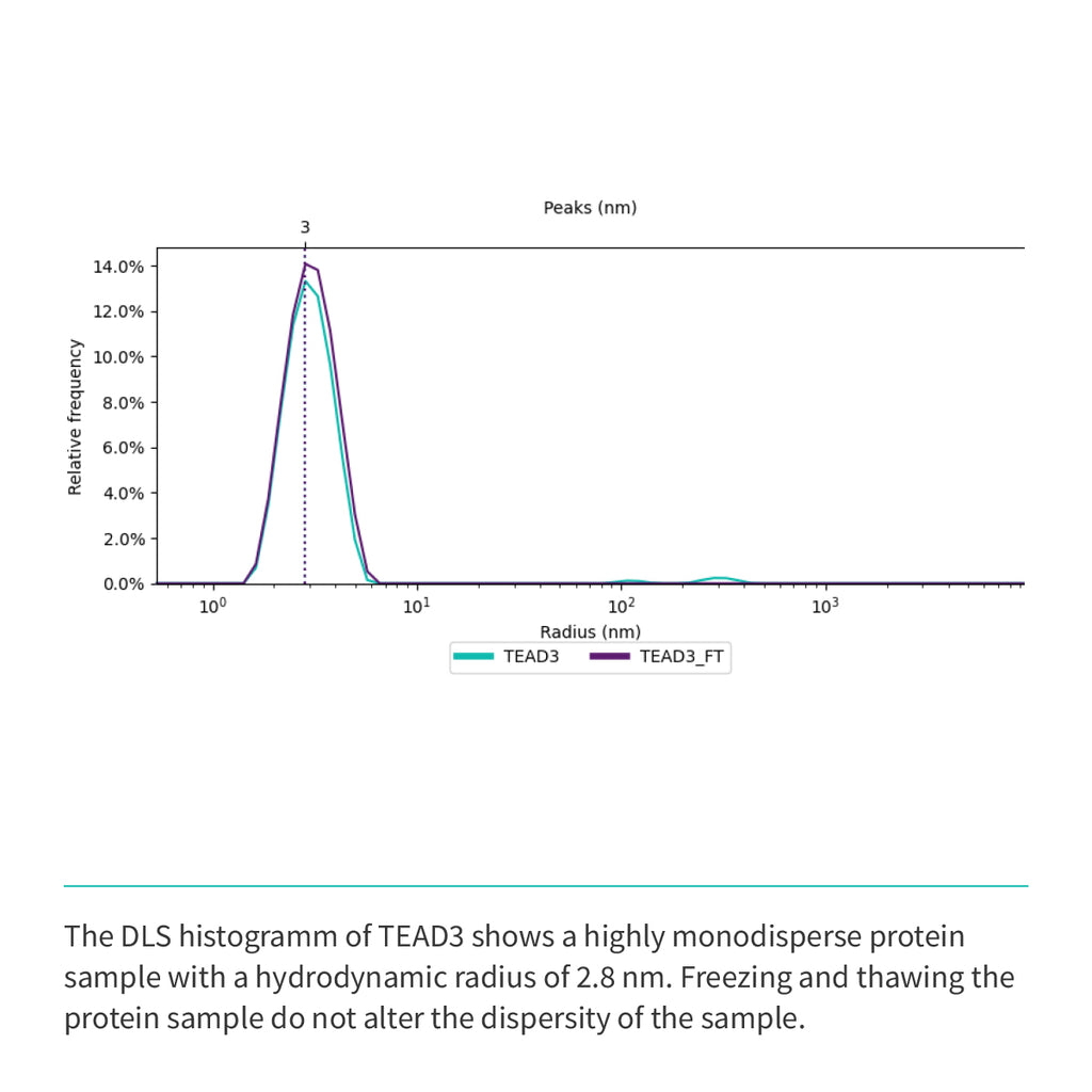 Recombinant <b>TEAD3</b> (R218-D435) YAP-binding domain, Transcriptional Enhanced Associate Domain 3, Transcriptional enhancer factor TEF-5