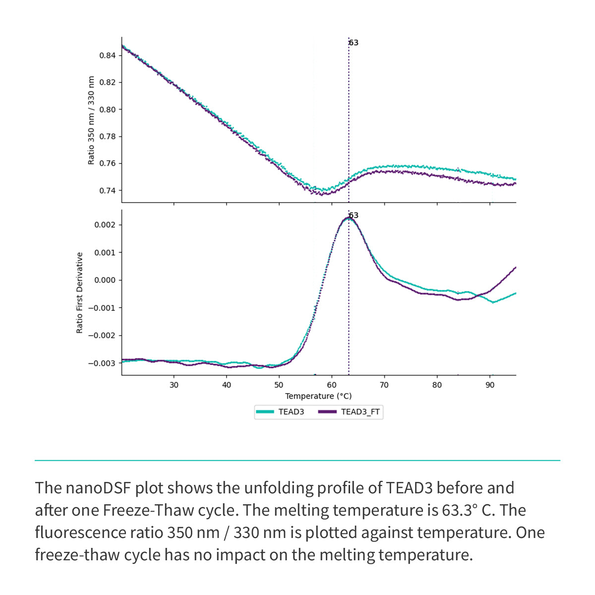 Recombinant <b>TEAD3</b> (R218-D435) YAP-binding domain, Transcriptional Enhanced Associate Domain 3, Transcriptional enhancer factor TEF-5