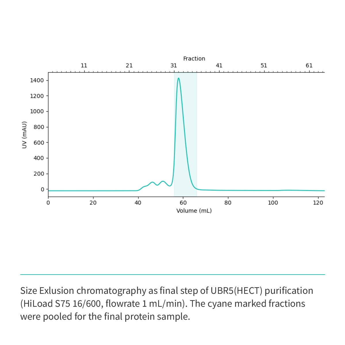 Recombinant <b>UBR5</b> (G2216-V2799)GSGSGS(ΔE2307-D2499), HECT Domain, Ubiquitin Protein E3 Ligase Component N-Recognin 5