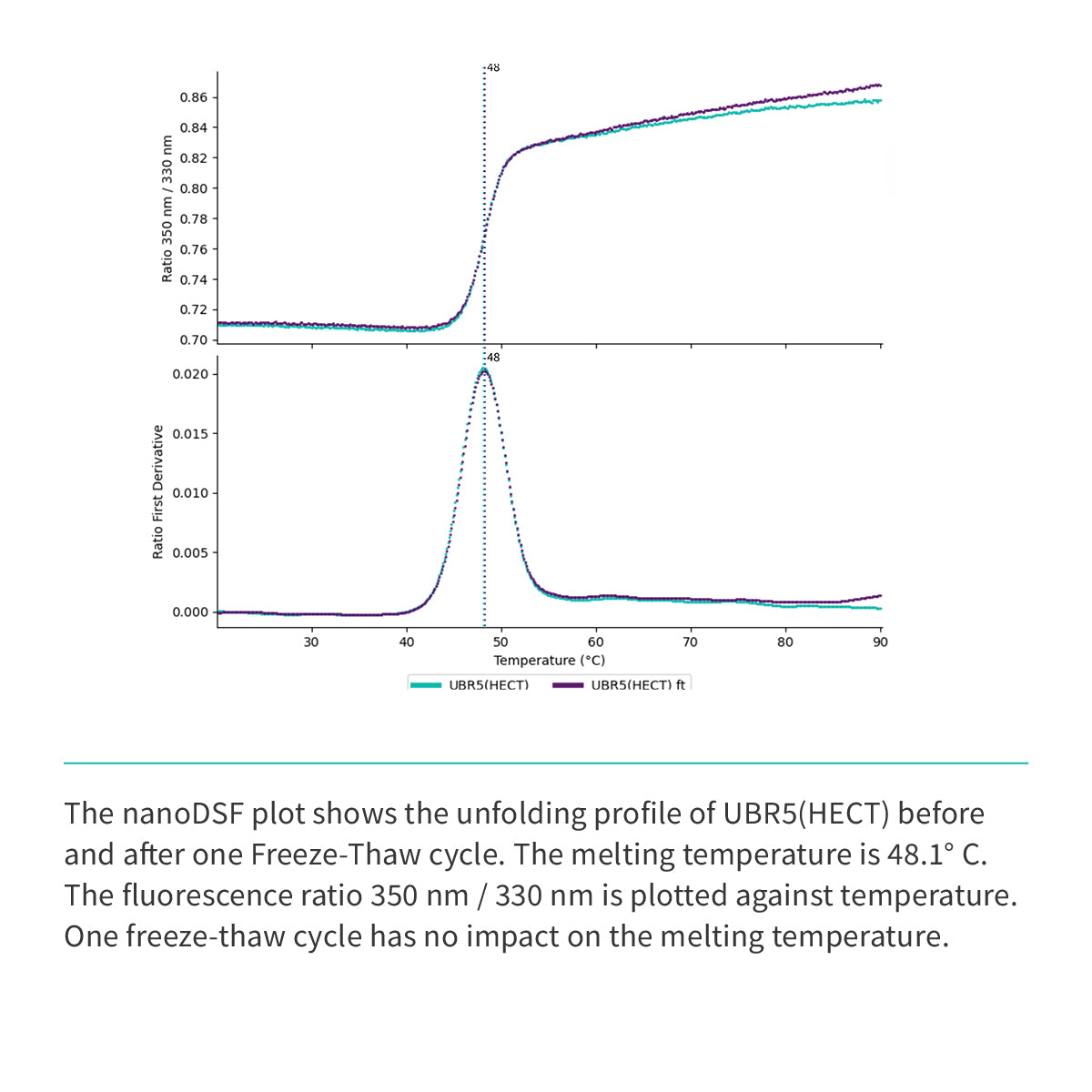 Recombinant <b>UBR5</b> (G2216-V2799)GSGSGS(ΔE2307-D2499), HECT Domain, Ubiquitin Protein E3 Ligase Component N-Recognin 5