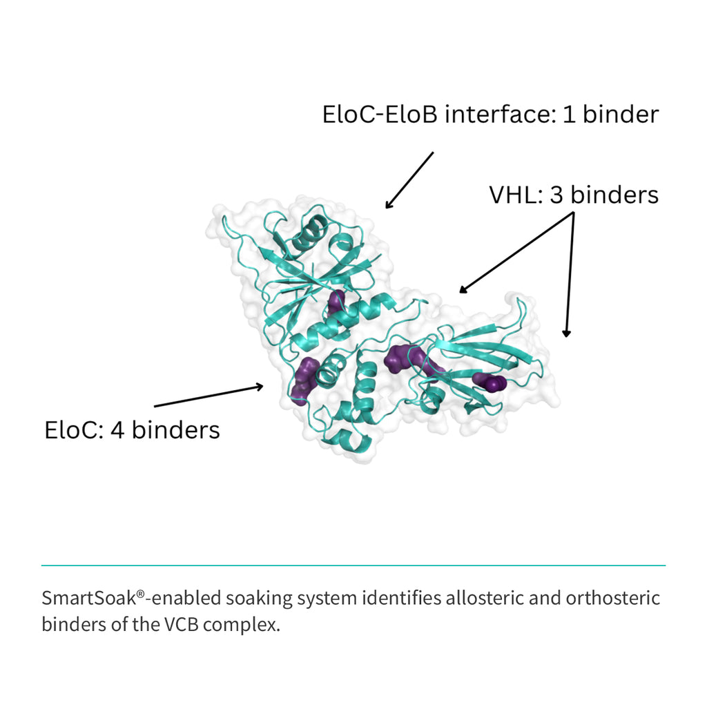 Recombinant <b>VCB</b> Trimeric complex: VHL(M54-D213):EloC(M17-C112):EloB(M17-C112)