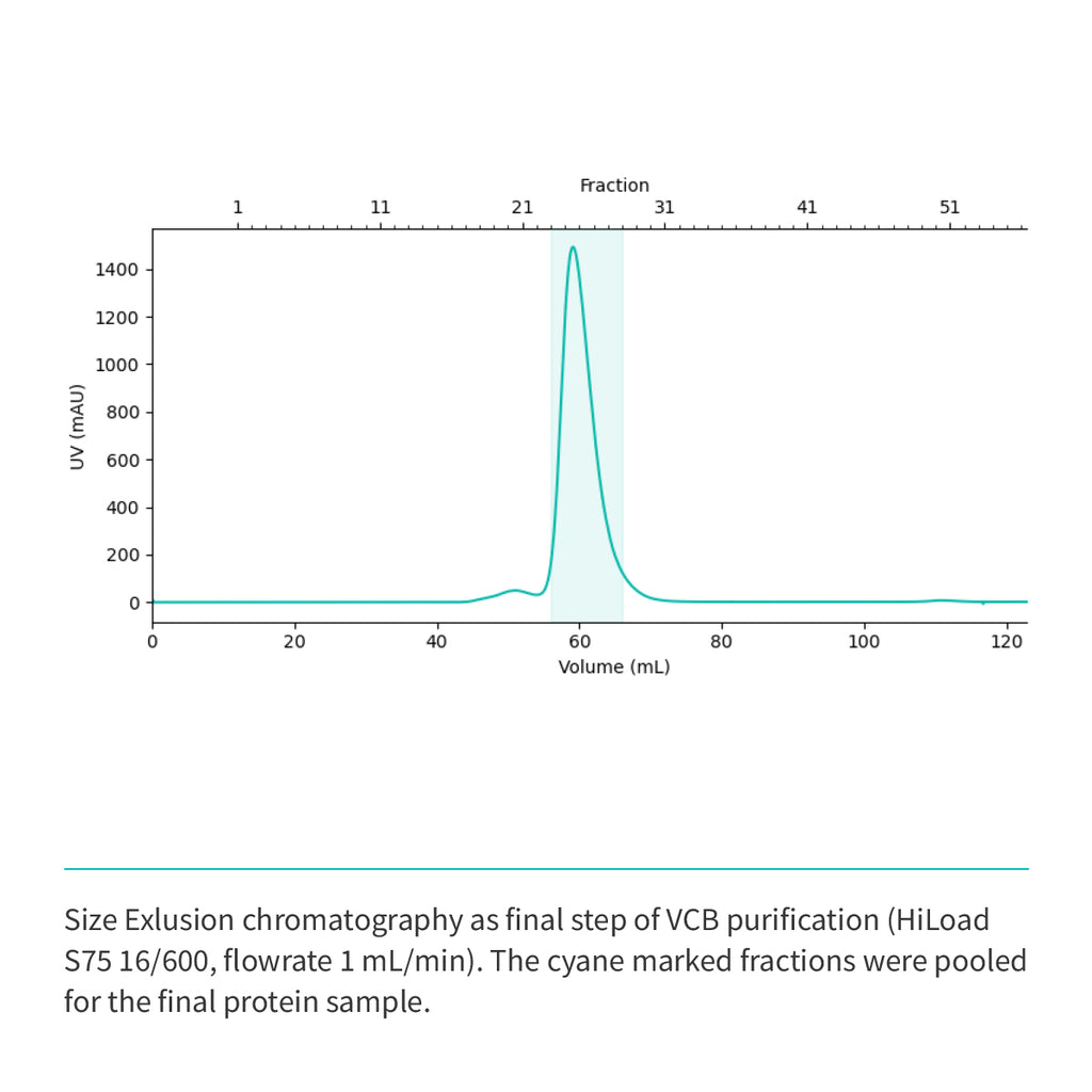 Recombinant <b>VCB</b> Trimeric complex: VHL(M54-D213):EloC(M17-C112):EloB(M17-C112)
