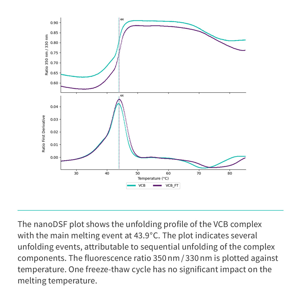 Recombinant <b>VCB</b> Trimeric complex: VHL(M54-D213):EloC(M17-C112):EloB(M17-C112)