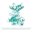 Recombinant <b>c-MET</b> (N1049-G1346), receptor tyrosine kinase domain, cellular-mesenchymal epithelial transition factor