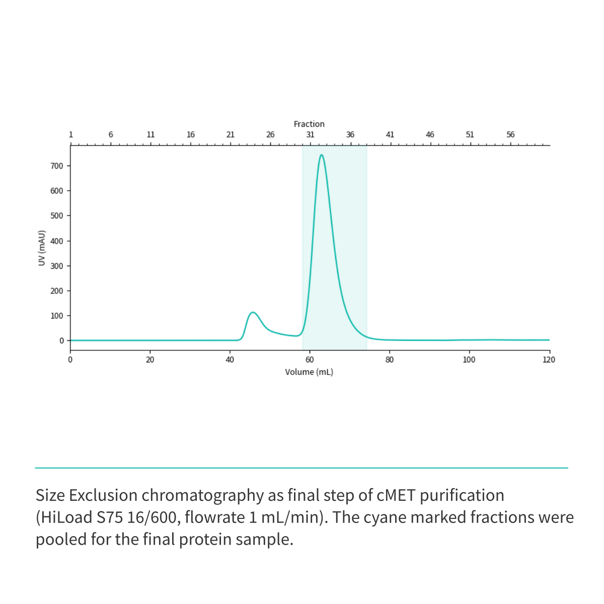 Recombinant <b>c-MET</b> (N1049-G1346), receptor tyrosine kinase domain, cellular-mesenchymal epithelial transition factor
