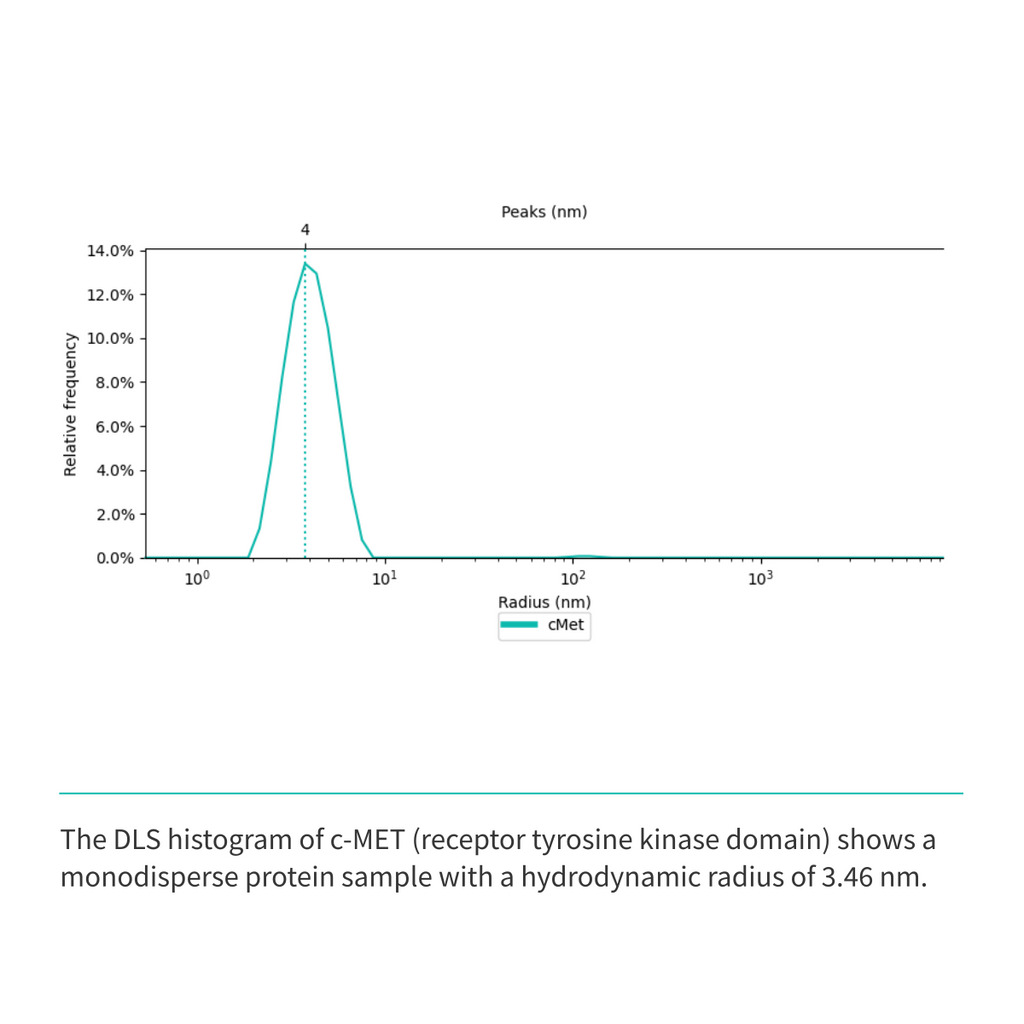 Recombinant <b>c-MET</b> (N1049-G1346), receptor tyrosine kinase domain, cellular-mesenchymal epithelial transition factor
