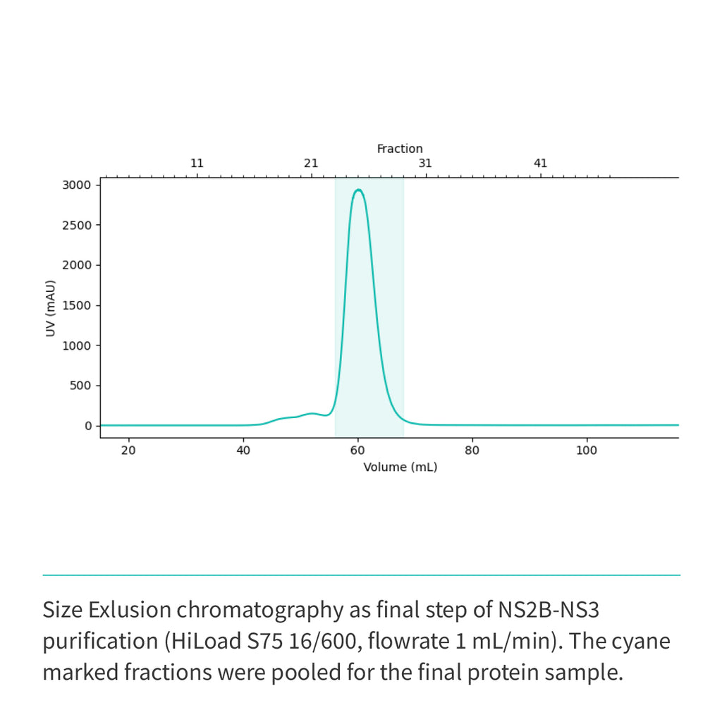 NS2b(cyt domain)-NS3(Protease domain S7) (A1394-L1440/GGGGSGGGG/A1476-K1660)
