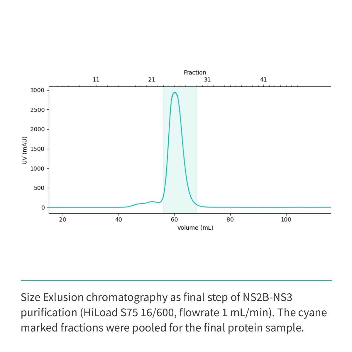 NS2b(cyt domain)-NS3(Protease domain S7) (A1394-L1440/GGGGSGGGG/A1476-K1660)