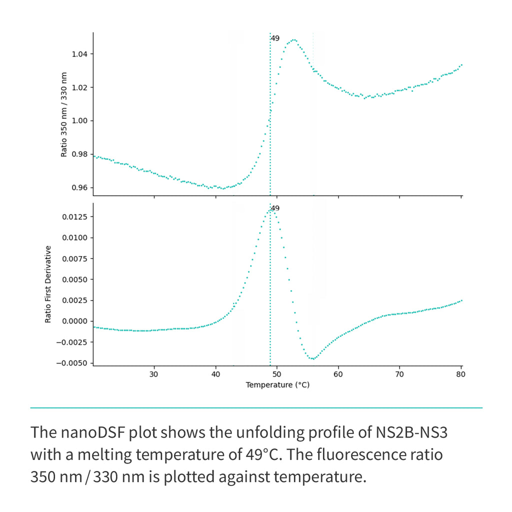 NS2b(cyt domain)-NS3(Protease domain S7) (A1394-L1440/GGGGSGGGG/A1476-K1660)