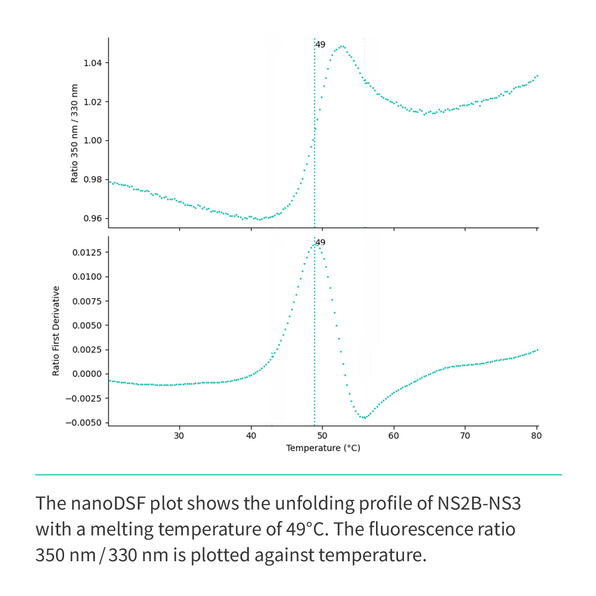 NS2b(cyt domain)-NS3(Protease domain S7) (A1394-L1440/GGGGSGGGG/A1476-K1660)