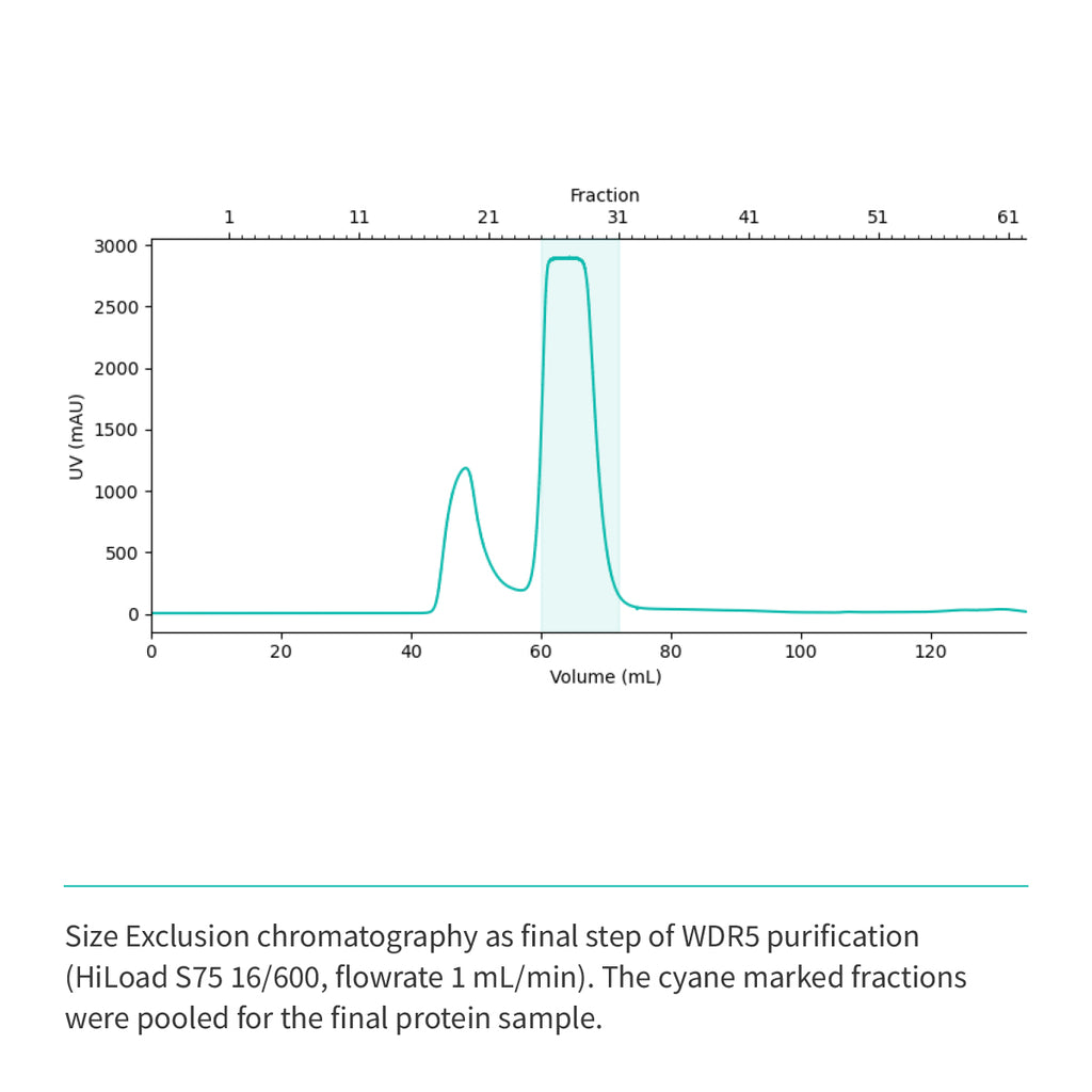 Recombinant <b>WDR5</b>(S22-C334), WD40 repeat-containing protein 5