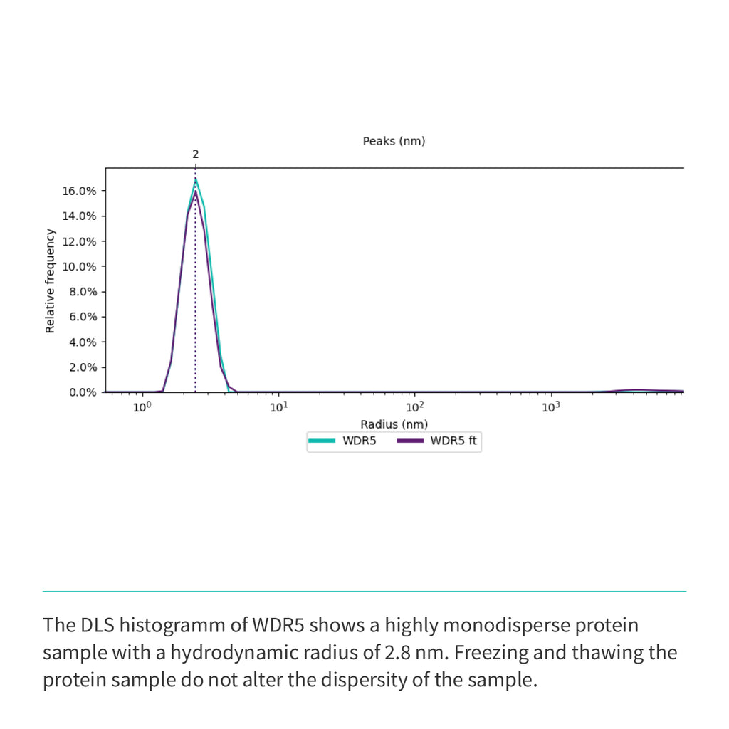 Recombinant <b>WDR5</b>(S22-C334), WD40 repeat-containing protein 5