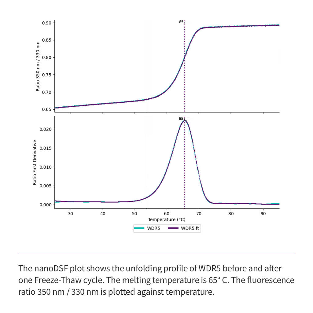 Recombinant <b>WDR5</b>(S22-C334), WD40 repeat-containing protein 5